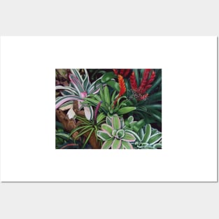 Bromeliad Xmas Card Posters and Art